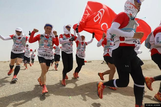 新西兰选手勇夺桂冠再次封神的简单介绍 新西兰选手勇夺桂冠再次封神的简单介绍