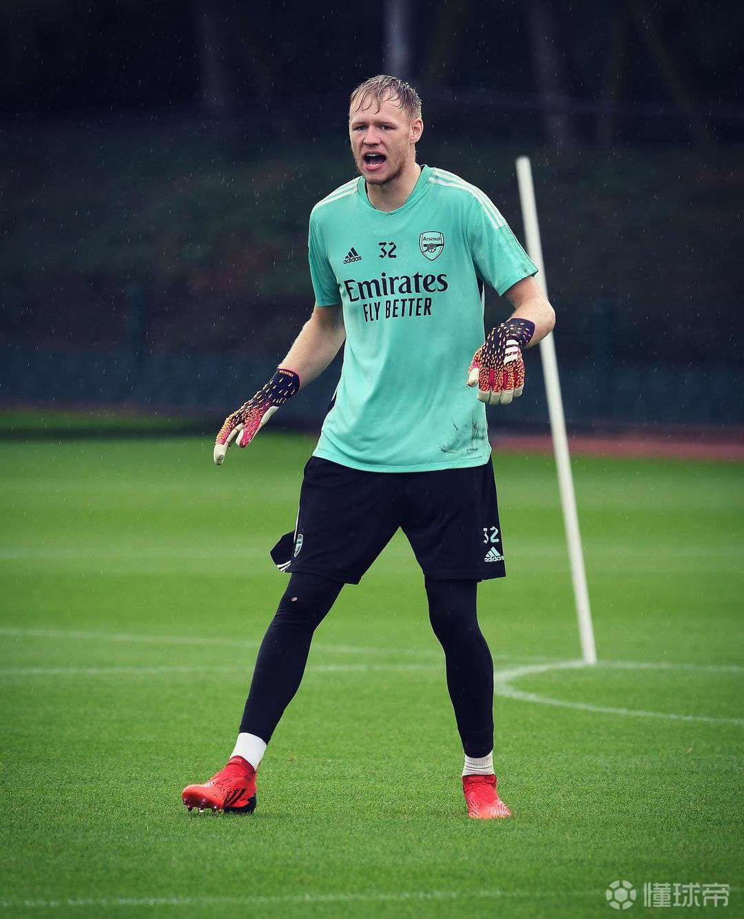 阿森纳主场惨败诺维奇,继续滑坡 阿森纳主场惨败诺维奇,继续滑坡